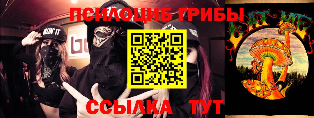 Галлюциногенные грибы Psilocybine cubensis Тара